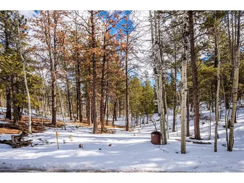 12 Hayes St, Bailey, CO 80421 photo 11