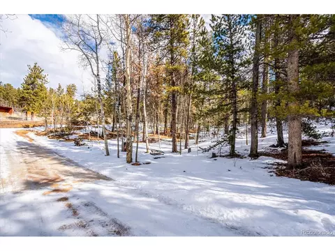 12 Hayes St, Bailey, CO 80421 photo 8
