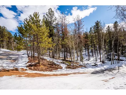 12 Hayes St, Bailey, CO 80421 photo 7