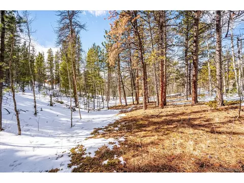 12 Hayes St, Bailey, CO 80421 photo 10