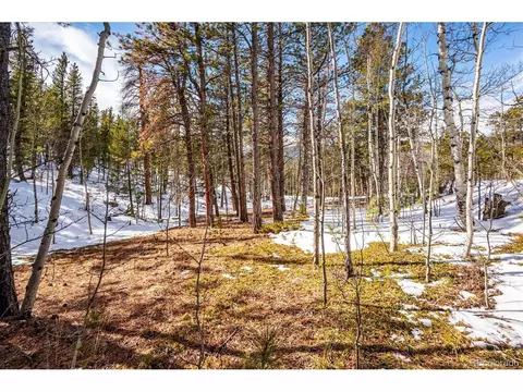 12 Hayes St, Bailey, CO 80421