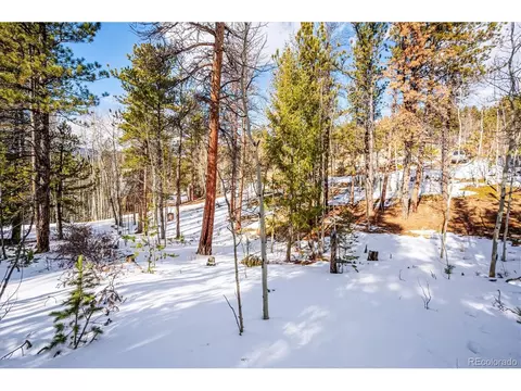 12 Hayes St, Bailey, CO 80421 photo 4