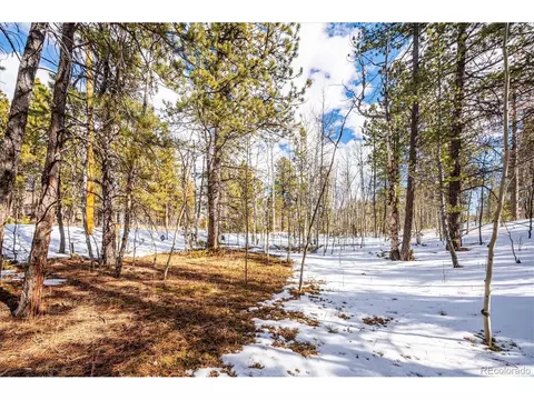 12 Hayes St, Bailey, CO 80421 photo 2