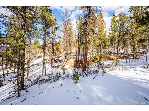 12 Hayes St, Bailey, CO 80421 photo 9