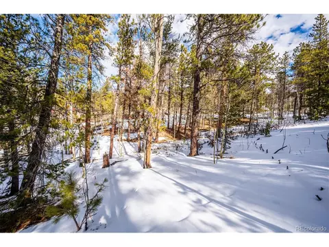 12 Hayes St, Bailey, CO 80421 photo 3