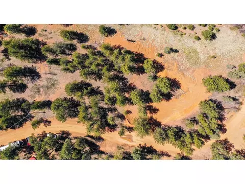 194 Rainbow Trl, Divide, CO 80814 photo 30