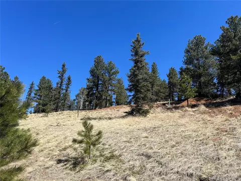 194 Rainbow Trl, Divide, CO 80814 photo 14