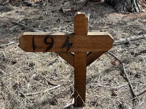 194 Rainbow Trl, Divide, CO 80814 photo 35