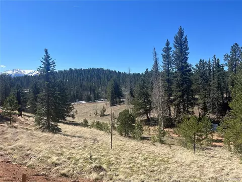194 Rainbow Trl, Divide, CO 80814 photo 4