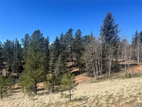 194 Rainbow Trl, Divide, CO 80814 photo 17