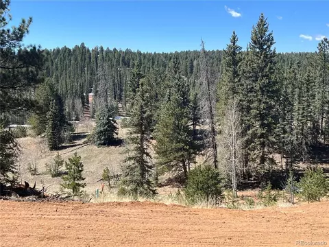 194 Rainbow Trl, Divide, CO 80814 photo 19