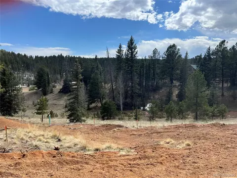 194 Rainbow Trl, Divide, CO 80814 photo 20