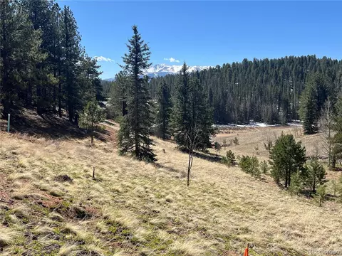 194 Rainbow Trl, Divide, CO 80814 photo 12