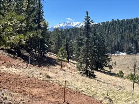 194 Rainbow Trl, Divide, CO 80814 photo 10