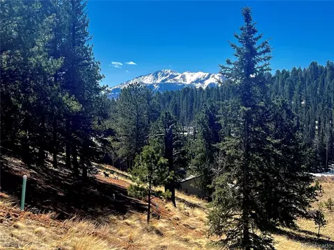 194 Rainbow Trl, Divide, CO 80814 photo 3