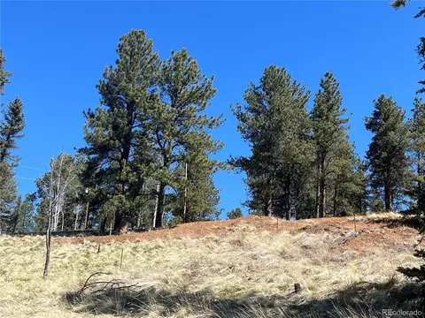 194 Rainbow Trl, Divide, CO 80814 photo 13