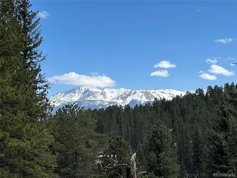 194 Rainbow Trl, Divide, CO 80814 photo 9