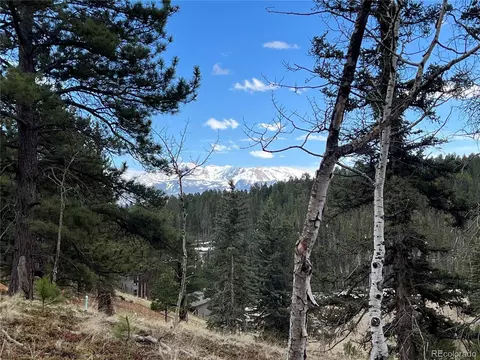 194 Rainbow Trl, Divide, CO 80814 photo 5
