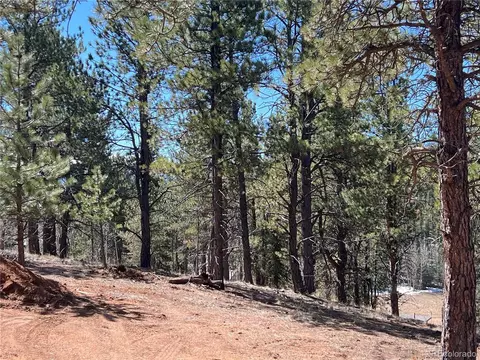 194 Rainbow Trl, Divide, CO 80814 photo 21