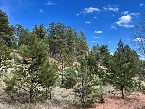 194 Rainbow Trl, Divide, CO 80814 photo 18