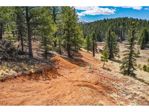 194 Rainbow Trl, Divide, CO 80814 photo 28