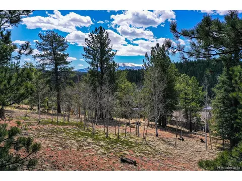 194 Rainbow Trl, Divide, CO 80814 photo 16