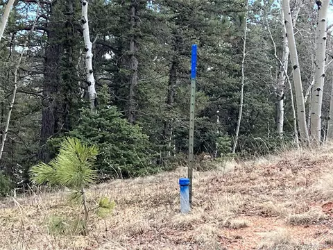 194 Rainbow Trl, Divide, CO 80814 photo 33