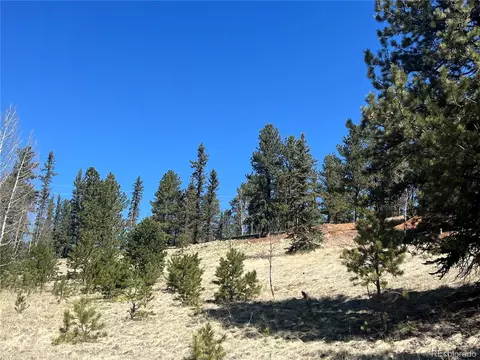 194 Rainbow Trl, Divide, CO 80814 photo 15