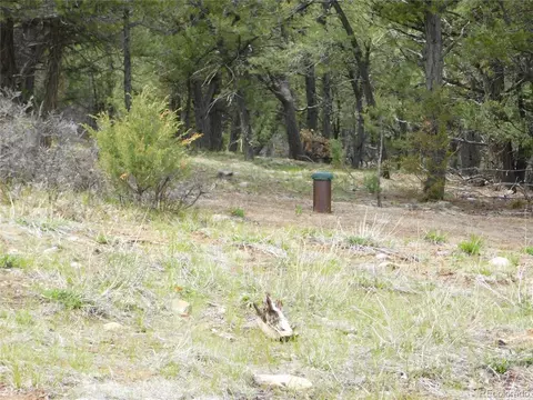0 Forest Ln, Howard, CO 81233