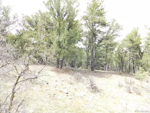 0 Forest Ln, Howard, CO 81233 photo 3