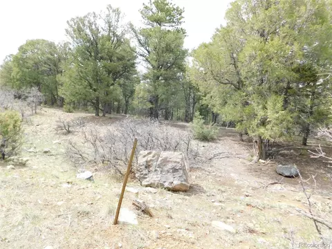 0 Forest Ln, Howard, CO 81233 photo 2