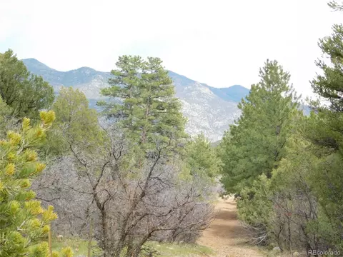 0 Forest Ln, Howard, CO 81233 photo 5