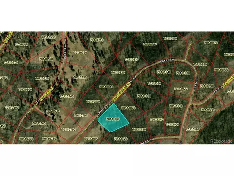 1195 Laker, Fort Garland, CO 81133