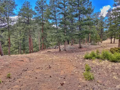 890 Lions Head Ranch Rd, Pine, CO 80470 photo 9