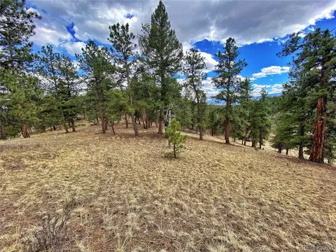 890 Lions Head Ranch Rd, Pine, CO 80470 photo 25
