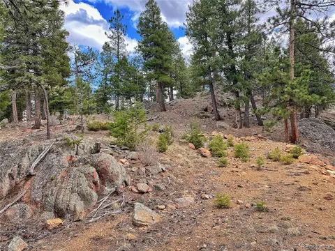 890 Lions Head Ranch Rd, Pine, CO 80470 photo 37