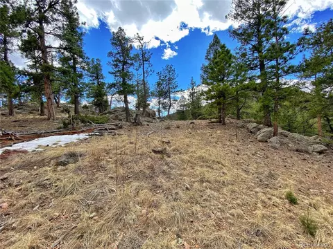 890 Lions Head Ranch Rd, Pine, CO 80470 photo 10