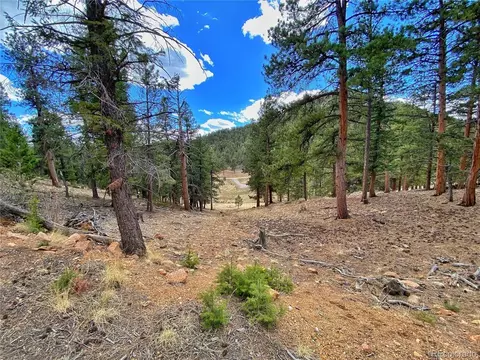 890 Lions Head Ranch Rd, Pine, CO 80470 photo 34