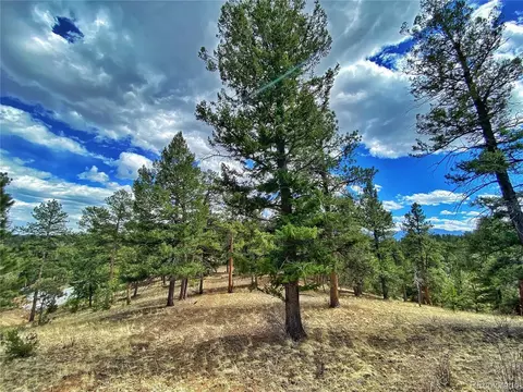 890 Lions Head Ranch Rd, Pine, CO 80470 photo 24
