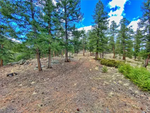 890 Lions Head Ranch Rd, Pine, CO 80470 photo 19