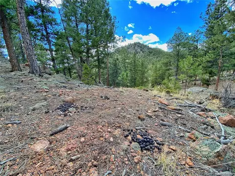 890 Lions Head Ranch Rd, Pine, CO 80470 photo 18