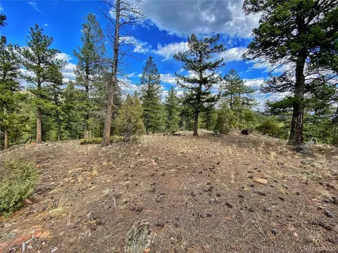 890 Lions Head Ranch Rd, Pine, CO 80470 photo 4