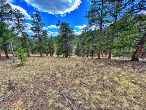 890 Lions Head Ranch Rd, Pine, CO 80470 photo 32