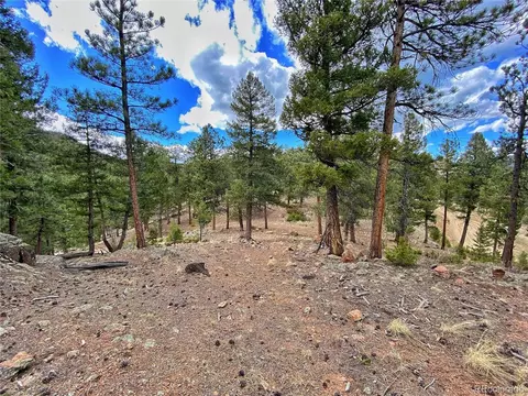 890 Lions Head Ranch Rd, Pine, CO 80470 photo 42