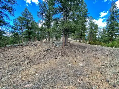 890 Lions Head Ranch Rd, Pine, CO 80470 photo 33