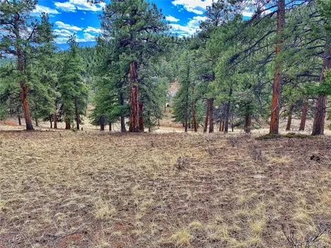 890 Lions Head Ranch Rd, Pine, CO 80470 photo 28