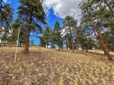 890 Lions Head Ranch Rd, Pine, CO 80470 photo 5