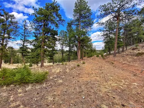 890 Lions Head Ranch Rd, Pine, CO 80470 photo 29