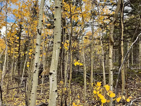 791 Haida Ln, Como, CO 80432 photo 7