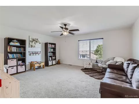20391 E 48th Pl, Denver, CO 80249 photo 17